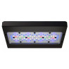 Ecotech Marine Radion XR30 G6 Pro- Rampe LED