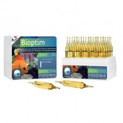 PRODIBIO Bioptim 30 Ampoules- Booster de bactéries