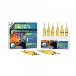 PRODIBIO Bioptim 6 Ampoules- Booster de bactéries