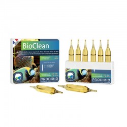 PRODIBIO BioClean 6 Ampoules- Bactéries pour aquarium