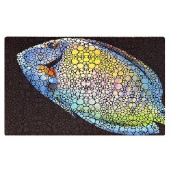 Flipper Aquarium Mat with Tang- Tapis 75 x 45 cm