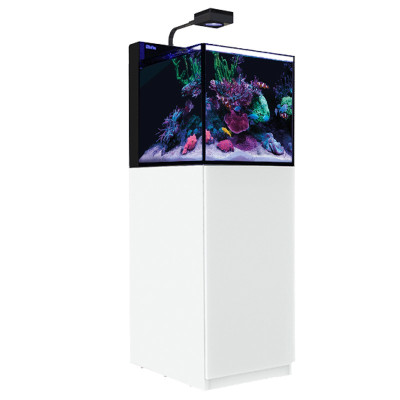 RED SEA MAX G2 XL- Aquarium 127 Liter RED SEA MAX G2 XL- Aquarium 127 Liter
