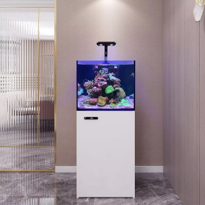 MAXSPECT Aquarium Smart Lagoon LS-060 Pearl White MAXSPECT Aquarium Smart Lagoon LS-060 Pearl White