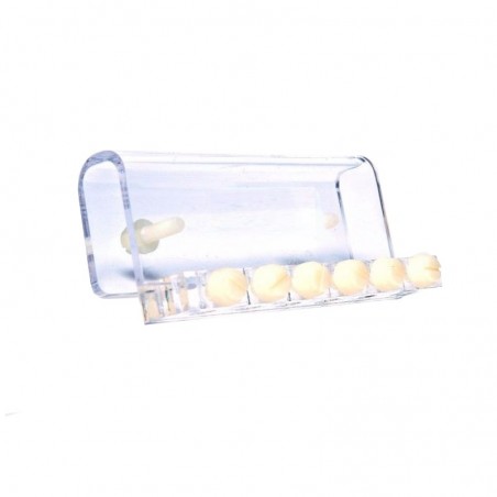 Support 4 tuyaux pour pompe doseuse Support 4 tuyaux pour pompe doseuse