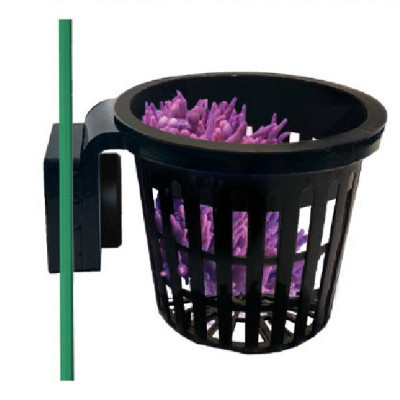 FAUNA MARIN Anemone Cup FAUNA MARIN Anemone Cup