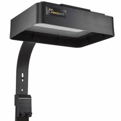 Maxspect Diffuser Hood für Jump MJ-L165– Lichtverteiler Maxspect Diffuser Hood für Jump MJ-L165– Lichtverteiler