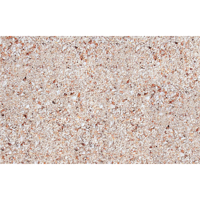 Lebender Sand für Aquarien Lebender Sand für Aquarien