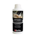 RED SEA Aiptasia X 500 ml Recharge- Anti Aiptasia