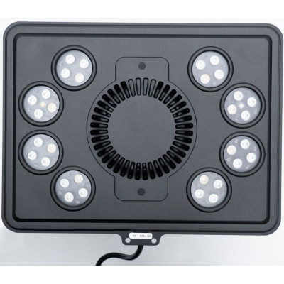 Maxspect Jump MJ-L290 Blue