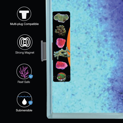 ESHOPPS Alpha Rack Nano 6- Support à boutures