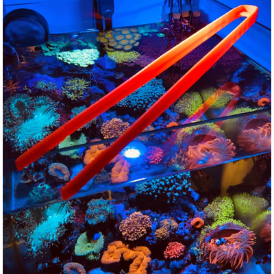 Pince aquarium Pince aquarium