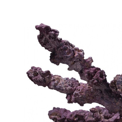 CARIBSEA Life Rock Belize Branch 9,07 kg- Eingesäte Steine