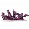 CARIBSEA Life Rock Belize Branch 9,07 kg- Pierres ensemencées