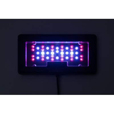MAXSPECT Jump LED 30 W Refugium- Eclairage LED pour aquarium récifal MAXSPECT Jump LED 30 W Refugium- Eclairage LED pour aquarium récifal