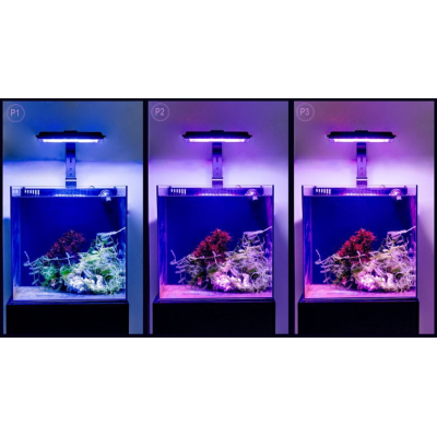 MAXSPECT Jump LED 30 W Refugium- Eclairage LED pour aquarium récifal MAXSPECT Jump LED 30 W Refugium- Eclairage LED pour aquarium récifal