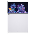 RED SEA REEFER 250 G3- Blanc
