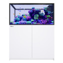 RED SEA REEFER Peninsula 500 G3- Blanc