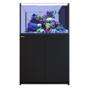 RED SEA REEFER Peninsula 350 G3- Noir