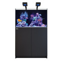 Red Sea REEFER Deluxe 250 G3- Noir