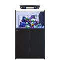 RED SEA REEFER Deluxe Peninsula 350 G3- Noir