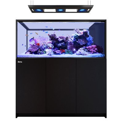 RED SEA REEFER MAX Peninsula 500 G3 - Schwartz