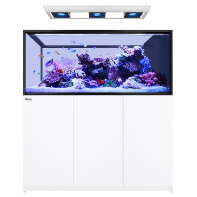 RED SEA REEFER MAX Peninsula 500 G3 - Weiß