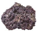 CARIBSEA Life Rock Shelf à la pièce ≃ 1,5-2 kg - Pierres ensemencées