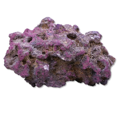 CARIBSEA Life Rock CARIBSEA Life Rock