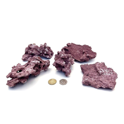 D-D Marco Rocks Coralline Frag Mounts - Meerwasseraquariengestein D-D Marco Rocks Coralline Frag Mounts - Meerwasseraquariengestein