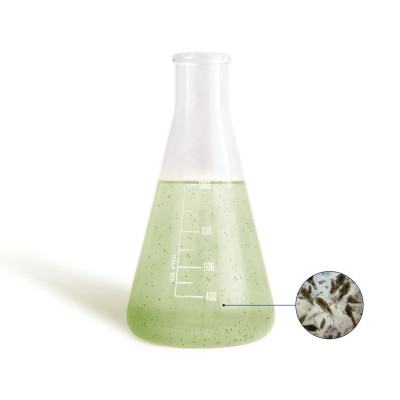 BEA Mesocosmo PRO 1 L- Microfaune