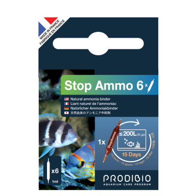 PRODIBIO Stop Ammo 6 Ampoules- Anti-ammoniaque