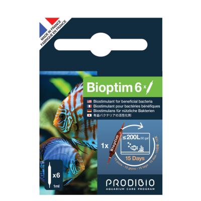 PRODIBIO Bioptim 6 Ampullen – Bakterienverstärker