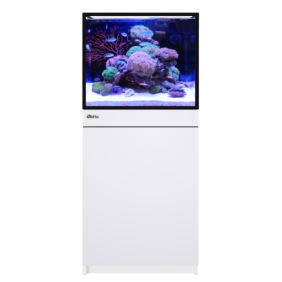RED SEA REEF-FRAME 170 Blanc - Aquarium 174 L