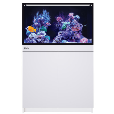 RED SEA REEF-FRAME 250 Blanc – Aquarium marin 246 L