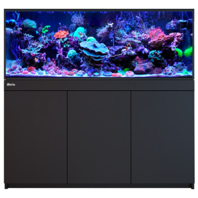 RED SEA REEF-FRAME 500 Noir – Aquarium 515 L RED SEA REEF-FRAME 500 Noir – Aquarium 515 L