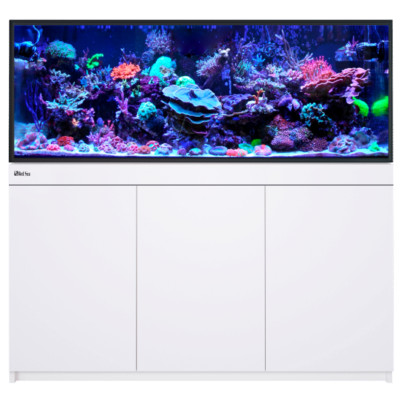 RED SEA REEF-FRAME 500 Blanc – Aquarium marin 515 L RED SEA REEF-FRAME 500 Blanc – Aquarium marin 515 L