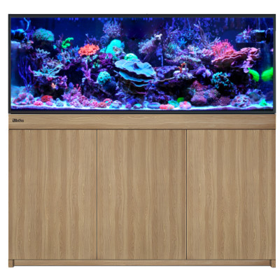 RED SEA REEF-FRAME 500 Eiche RED SEA REEF-FRAME 500 Eiche