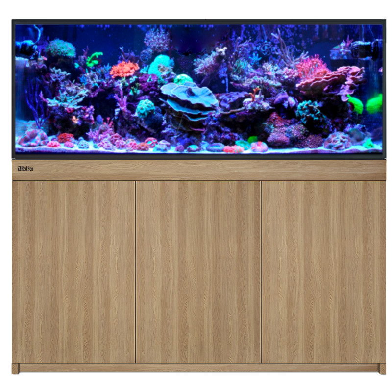 RED SEA REEF-FRAME 500 Chêne – Aquarium 515 L