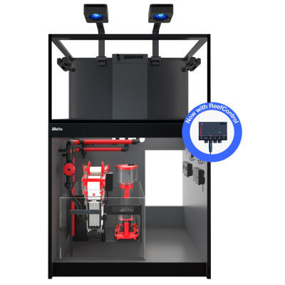 RED SEA REEF-FRAME MAX 250 Schwarz – 246-Liter-Meerwasseraquarium