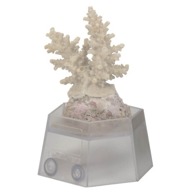 AQUA MEDIC Coral holder – Verstellbare Halterung für Korallen AQUA MEDIC Coral holder – Verstellbare Halterung für Korallen