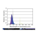 ATI Actinic 54 Watts 25000K° - Tube T5 1150mm