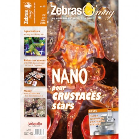 ZebrasO'mag n°45 ZebrasO'mag n°45