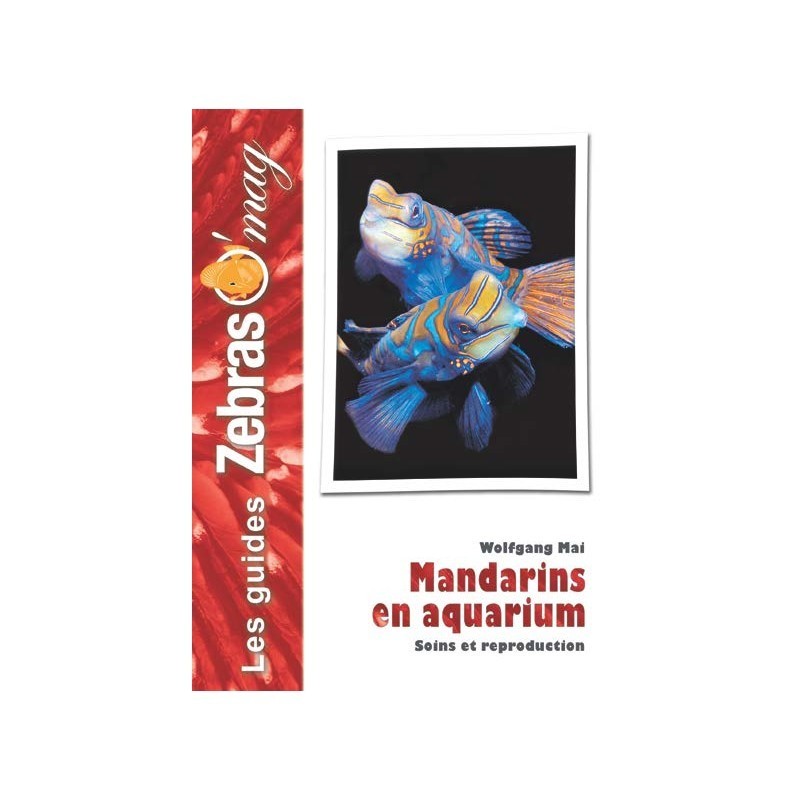 Mandarins en Aquarium- Guide de soins et reproduction