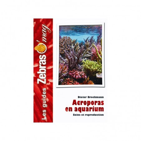 Acroporas en Aquarium- Guide de soins et reproduction