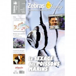 ZebrasO'mag n°46