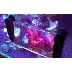 MAXSPECT Fragnifer- Aimant pour aquarium