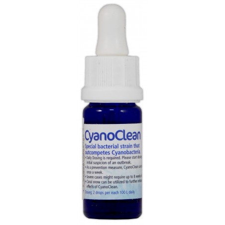 KORALLEN-ZUCHT Cyano Clean 10 ml- Traitement Anti Cyanobactéries