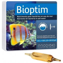 PRODIBIO Bioptim 12 Ampoules- Booster de bactéries