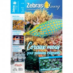 ZebrasO'mag n°48