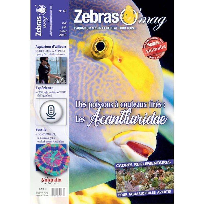 ZebrasO'mag n°49